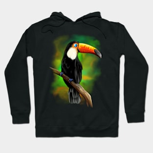 Toco toucan Hoodie